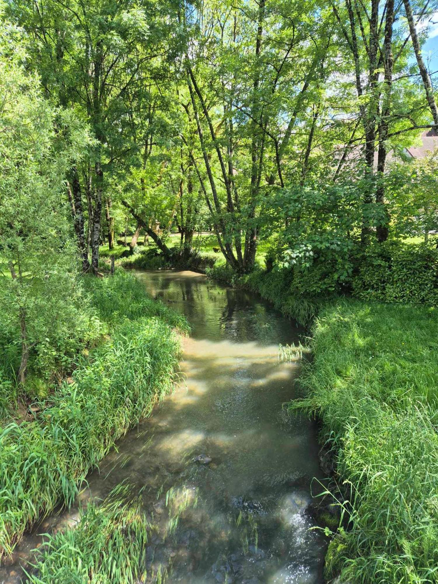 Saint-Germain-lès-Arlay Au Lavoir Du Serein "L'Eventail" المظهر الخارجي الصورة