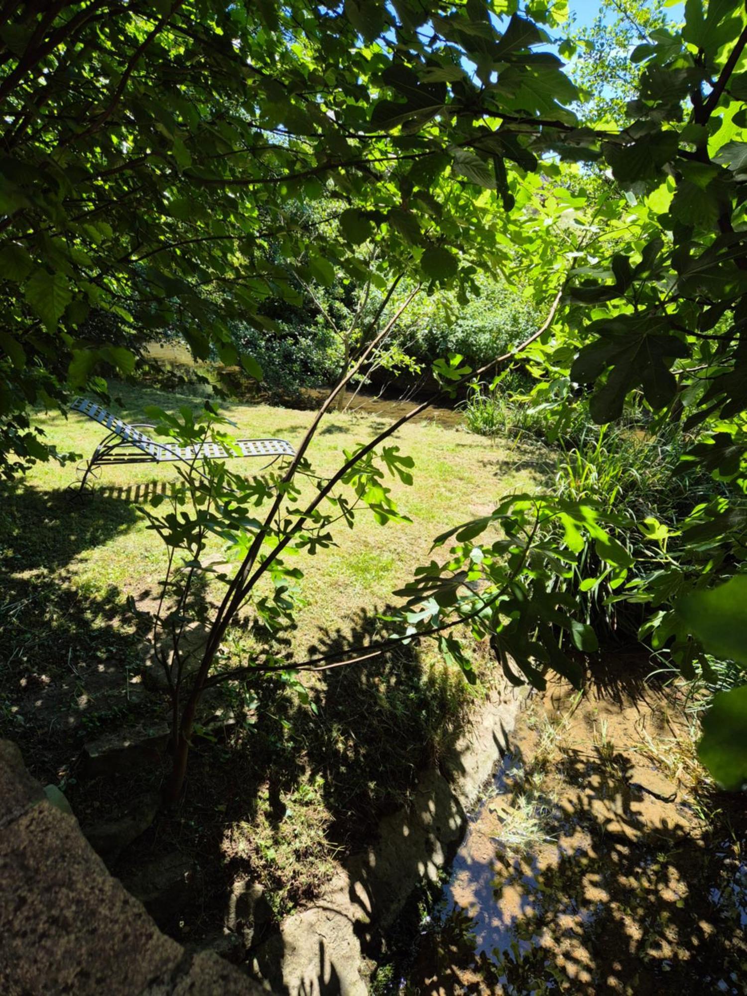 Saint-Germain-lès-Arlay Au Lavoir Du Serein "L'Eventail" المظهر الخارجي الصورة